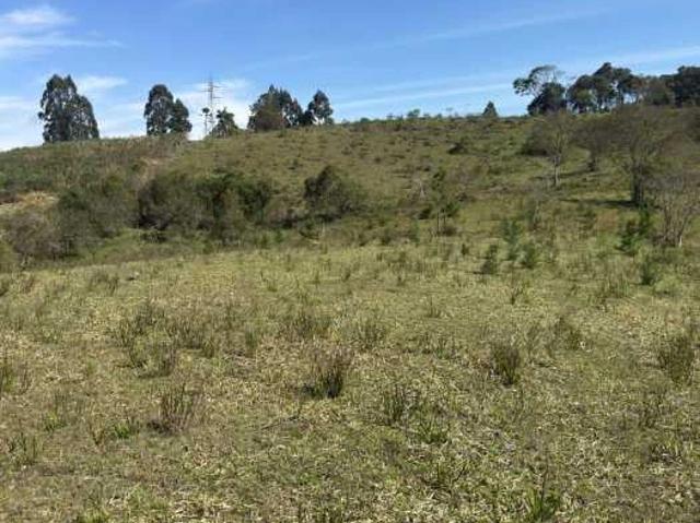 Sítio e chácara venda em Vila Brasília, Mandirituba