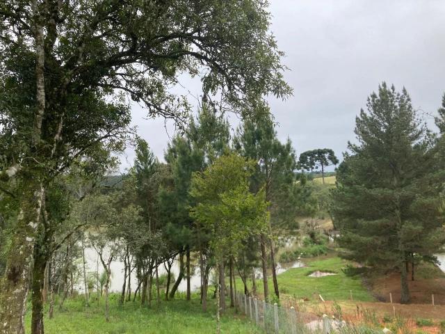 Sítio e chácara venda em Vila Brasília, Mandirituba