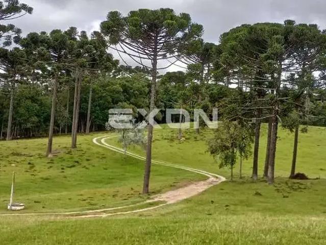 Sítio e chácara venda em Região Geográfica Imediata de Curitiba, Região Metropolitana de Curitiba