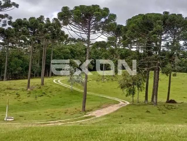 Sítio e chácara venda em Região Geográfica Imediata de Curitiba, Região Metropolitana de Curitiba