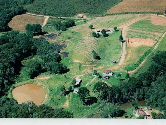 Sítio e chácara venda em Região Geográfica Imediata de Curitiba, Região Metropolitana de Curitiba