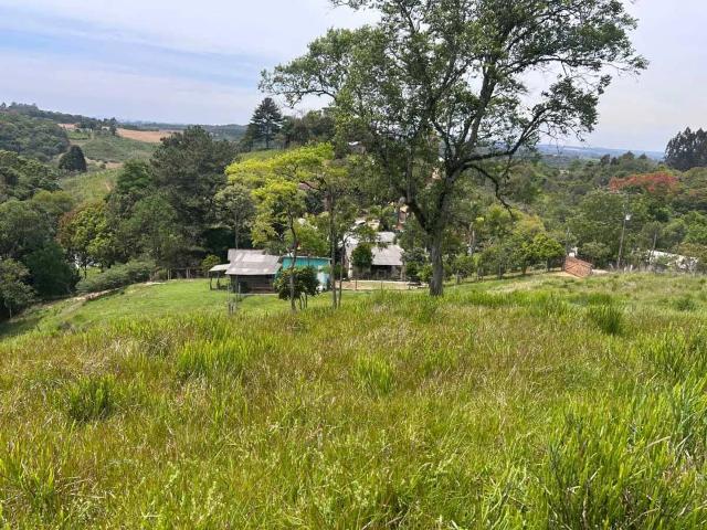 Sítio e chácara venda em Vila Brasília, Mandirituba