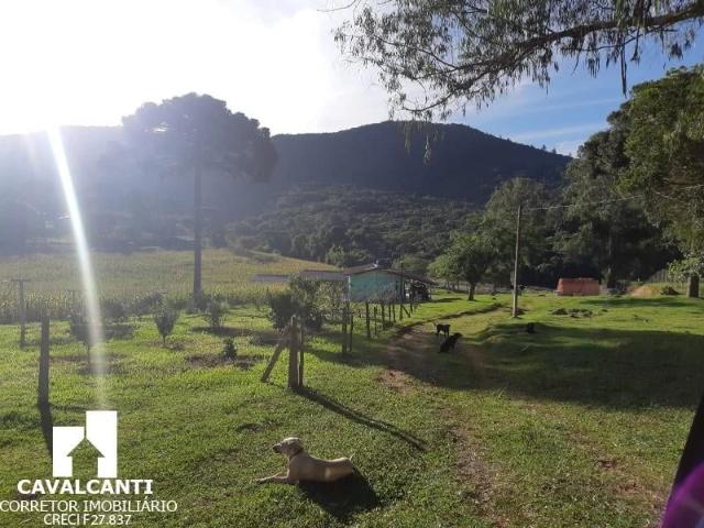 Sítio e chácara venda em Vila Brasília, Mandirituba