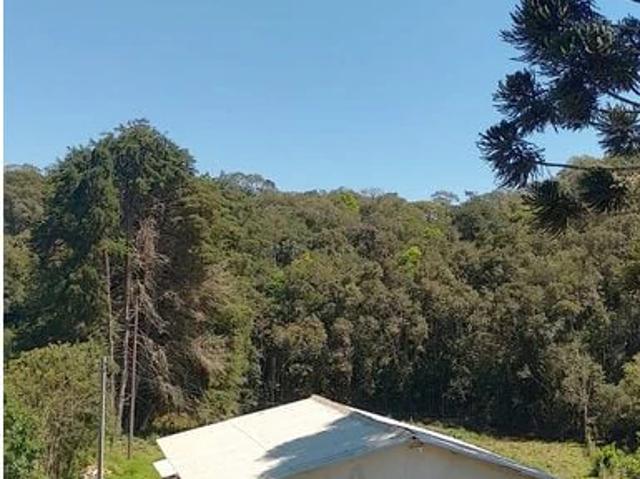 Sítio e chácara venda em Vila Brasília, Mandirituba