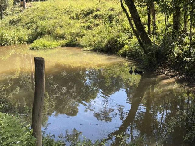 Sítio e chácara venda em Vila Brasília, Mandirituba
