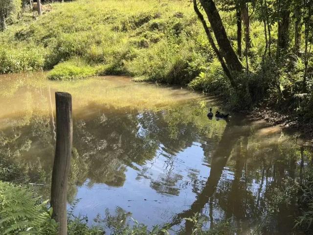Sítio e chácara venda em Região Geográfica Imediata de Curitiba, Região Metropolitana de Curitiba