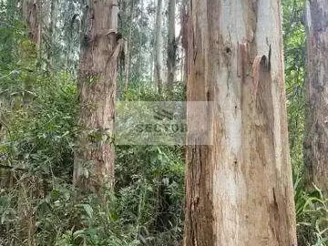 Sítio e chácara venda em Região Geográfica Imediata de Curitiba, Região Metropolitana de Curitiba