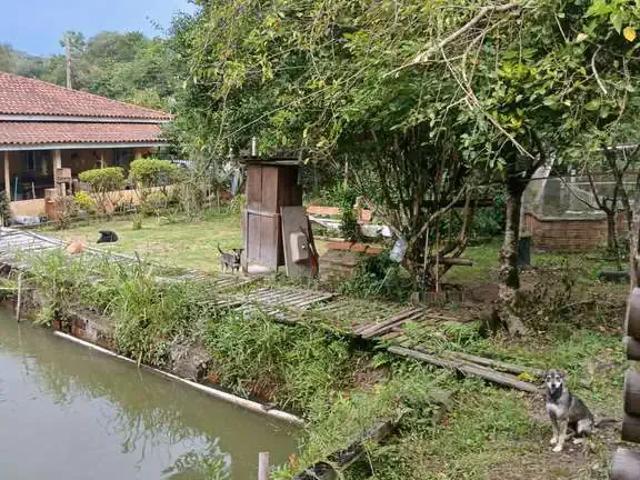 Sítio e chácara venda em Região Geográfica Imediata de Curitiba, Região Metropolitana de Curitiba