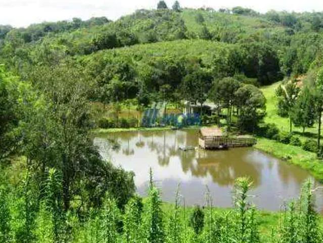 Sítio e chácara venda em Região Geográfica Imediata de Curitiba, Região Metropolitana de Curitiba