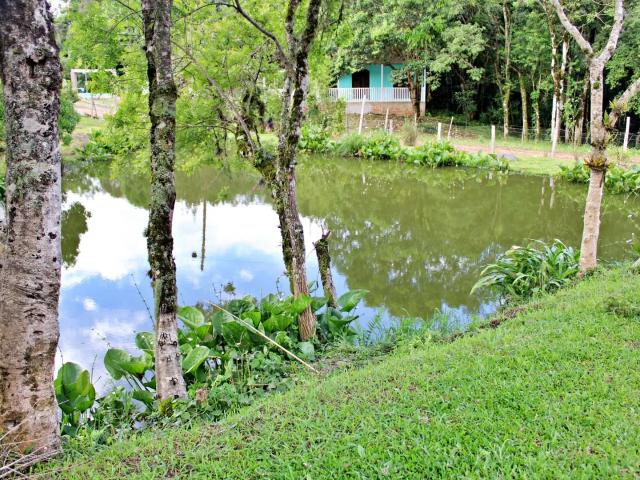 Sítio e chácara venda em Região Geográfica Imediata de Curitiba, Região Metropolitana de Curitiba