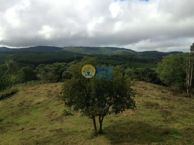 Sítio e chácara venda em Região Geográfica Imediata de Curitiba, Região Metropolitana de Curitiba