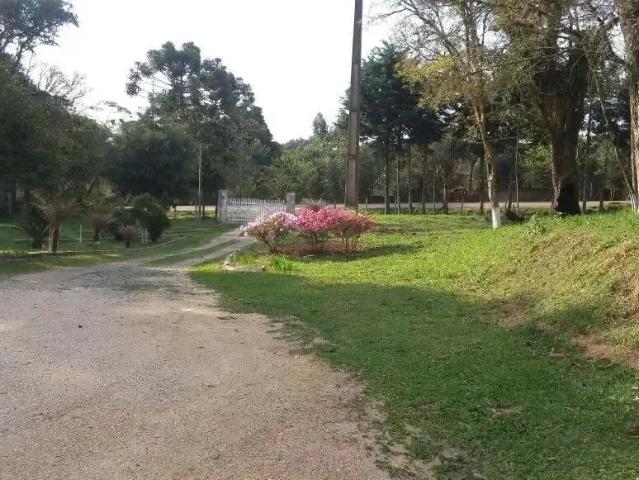 Sítio e chácara venda em Região Geográfica Imediata de Curitiba, Região Metropolitana de Curitiba