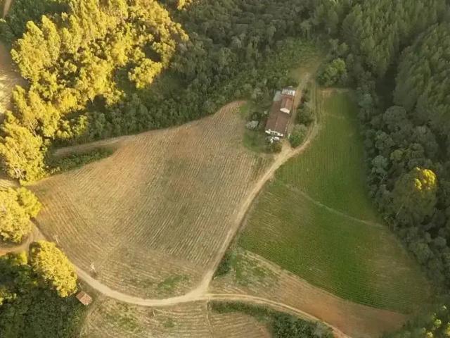Sítio e chácara venda em Região Geográfica Imediata de Curitiba, Região Metropolitana de Curitiba