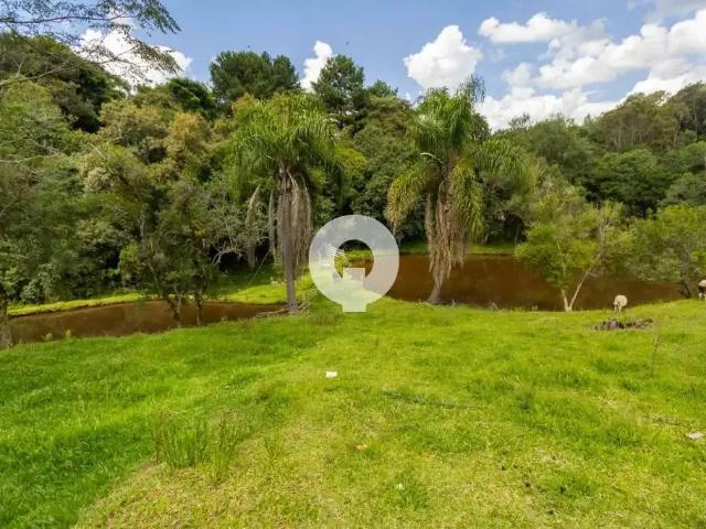 Sítio e chácara venda em Região Geográfica Imediata de Curitiba, Região Metropolitana de Curitiba
