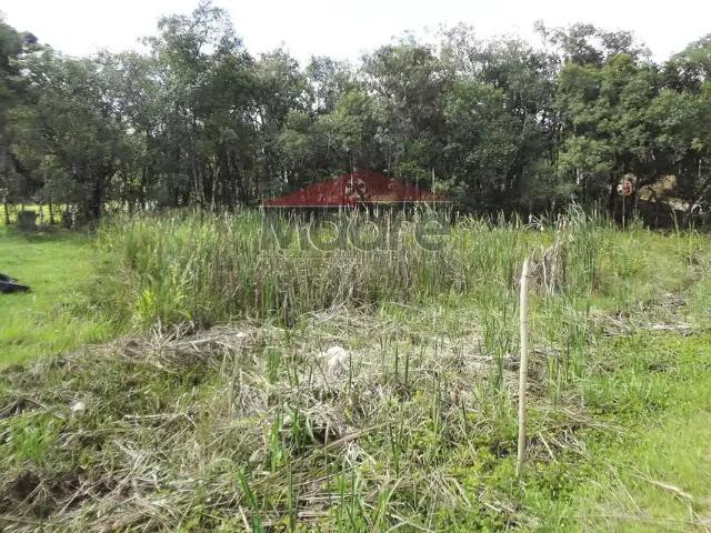 Sítio e chácara venda em Região Geográfica Imediata de Curitiba, Região Metropolitana de Curitiba