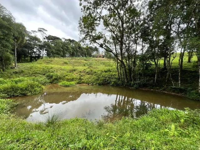 Sítio e chácara venda em Região Geográfica Imediata de Curitiba, Região Metropolitana de Curitiba