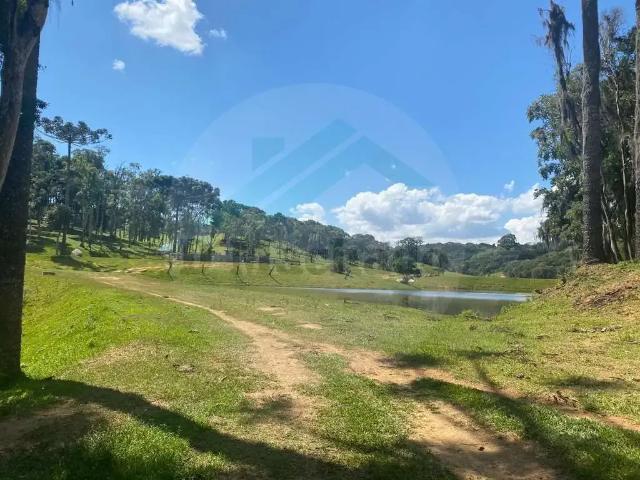 Sítio e chácara venda em Região Geográfica Imediata de Curitiba, Região Metropolitana de Curitiba