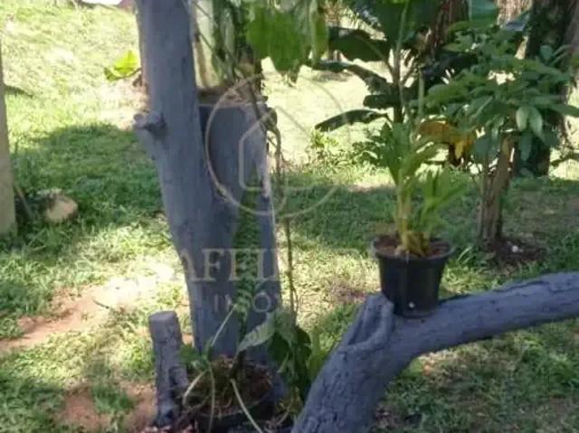 Sítio e chácara venda em Região Geográfica Imediata de Curitiba, Região Metropolitana de Curitiba