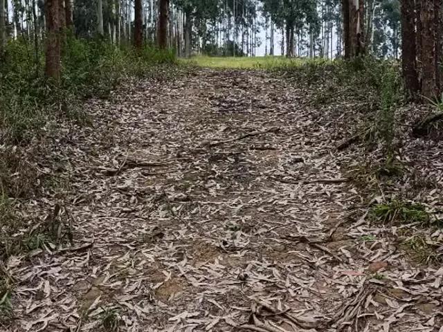 Sítio e chácara venda em Região Geográfica Imediata de Curitiba, Região Metropolitana de Curitiba