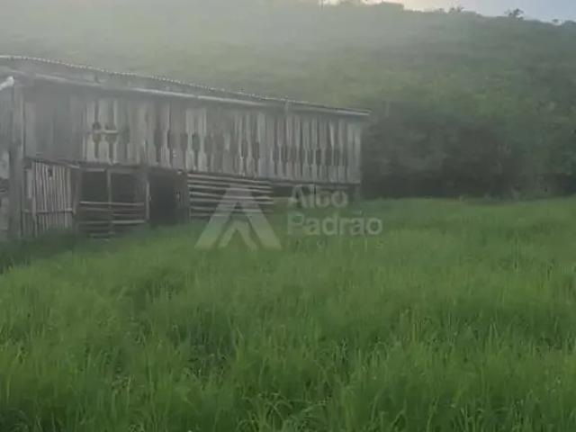 Sítio e chácara venda em Região Geográfica Imediata de Feira de Santana, Região Metropolitana de Feira de Santana