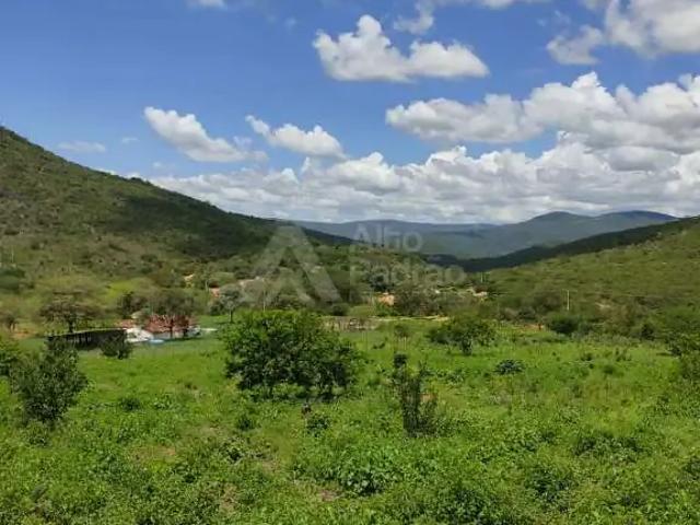 Sítio e chácara venda em Região Geográfica Imediata de Feira de Santana, Região Metropolitana de Feira de Santana