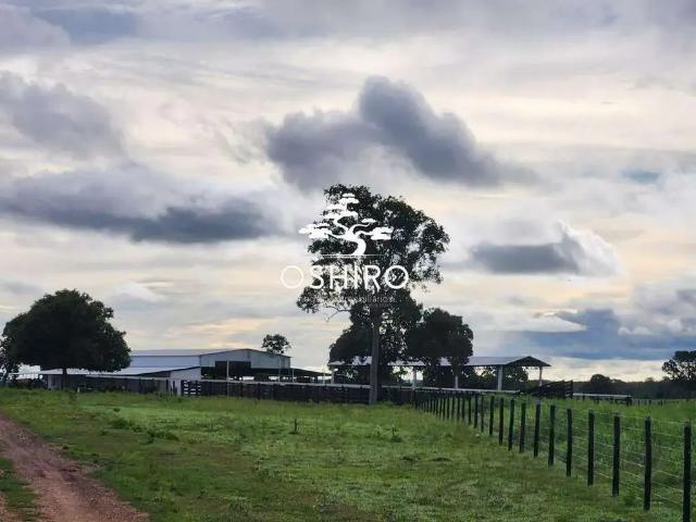 Sítio e chácara venda em Região Geográfica Imediata de Uruaçu - Niquelândia, Mara Rosa