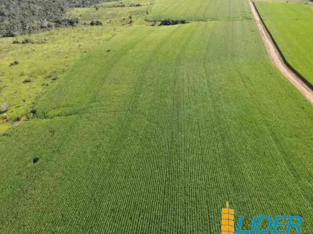 Sítio e chácara venda em Região Geográfica Imediata de Marabá, Região Norte