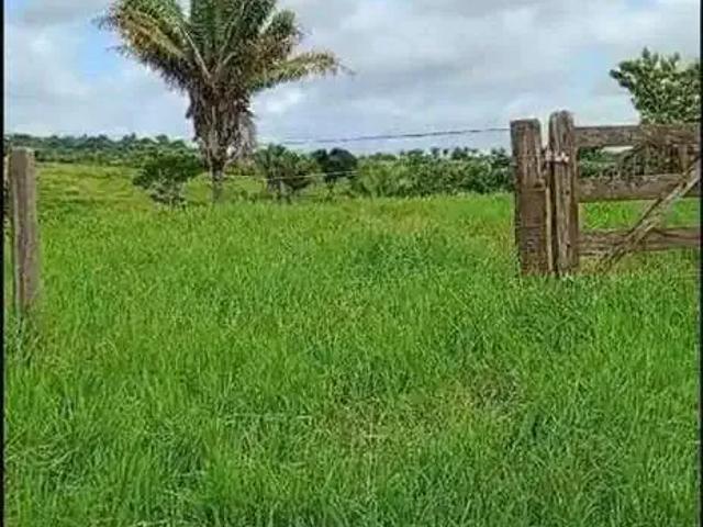 Sítio e chácara venda em Região Geográfica Imediata de Marabá, Região Norte