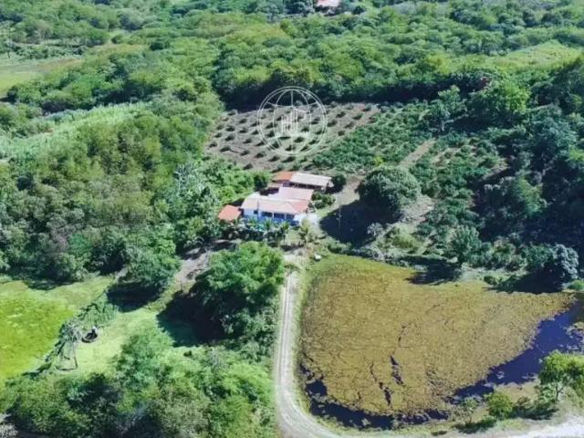Sítio e chácara venda em Região Geográfica Imediata de Fortaleza, Maranguape