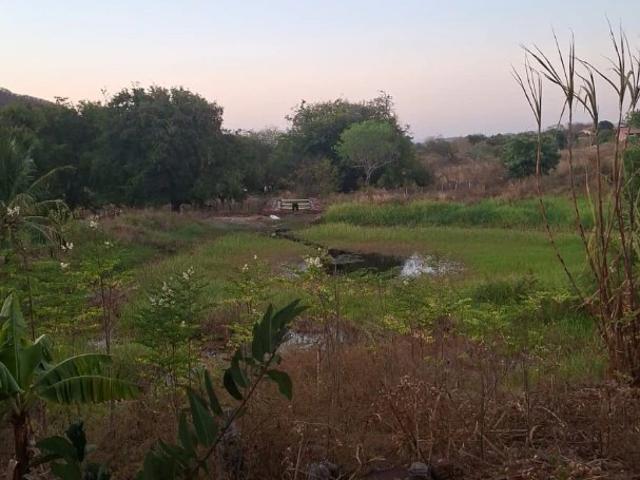 Sítio e chácara venda em Maranguape, Região Geográfica Intermediária de Fortaleza