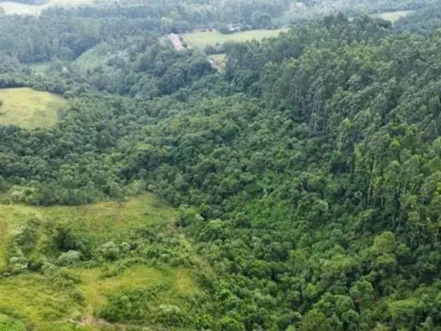 Sítio e chácara venda em Região Geográfica Imediata de Montenegro, Maratá