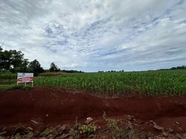 Sítio e chácara venda em Região Geográfica Imediata de Marechal Cândido Rondon, Marechal Cândido Rondon