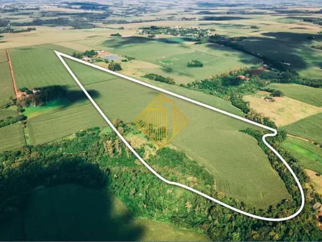 Sítio e chácara venda em Marechal Cândido Rondon, Região Geográfica Intermediária de Cascavel