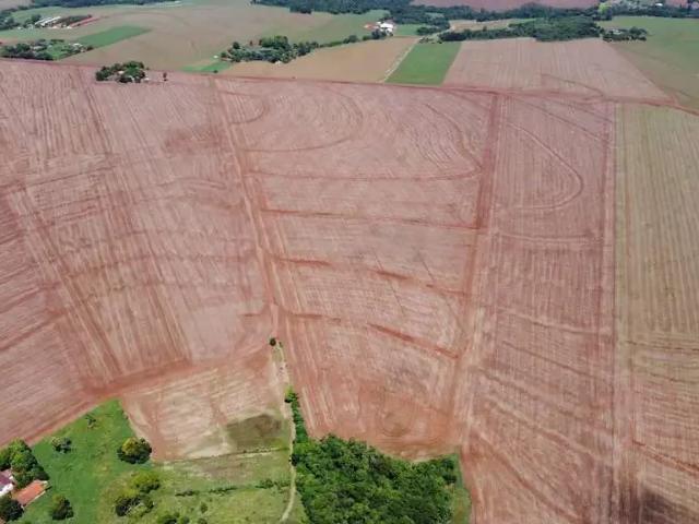 Sítio e chácara venda em Região Geográfica Imediata de Marechal Cândido Rondon, Marechal Cândido Rondon
