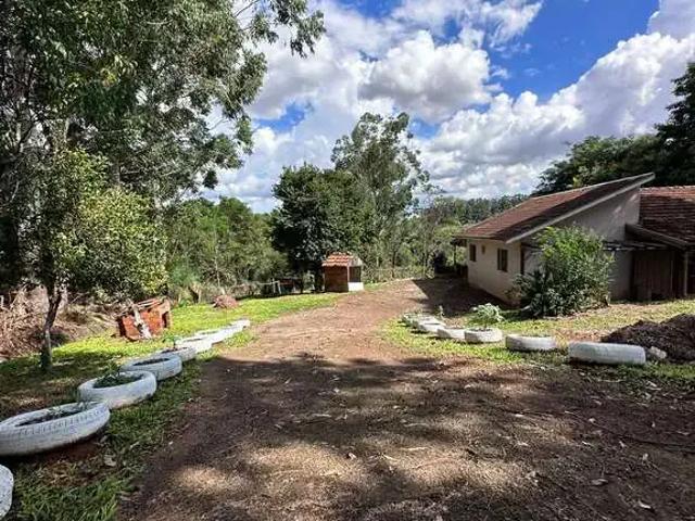Sítio e chácara venda em Região Geográfica Imediata de Marechal Cândido Rondon, Marechal Cândido Rondon