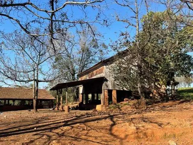 Sítio e chácara venda em Região Geográfica Imediata de Marechal Cândido Rondon, Marechal Cândido Rondon