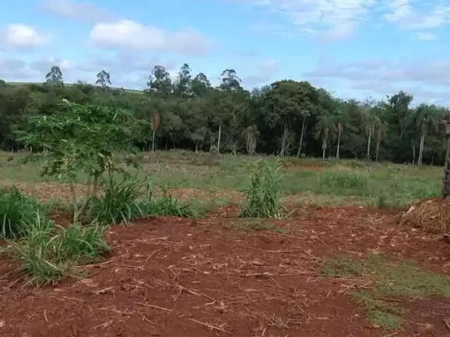 Sítio e chácara venda em Região Geográfica Imediata de Marechal Cândido Rondon, Marechal Cândido Rondon