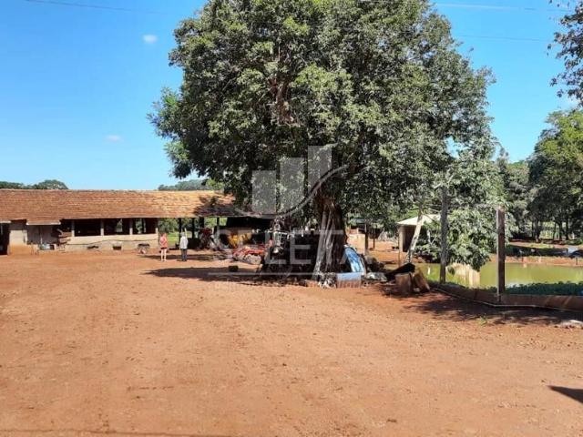 Sítio e chácara venda em Iguiporã, Marechal Cândido Rondon