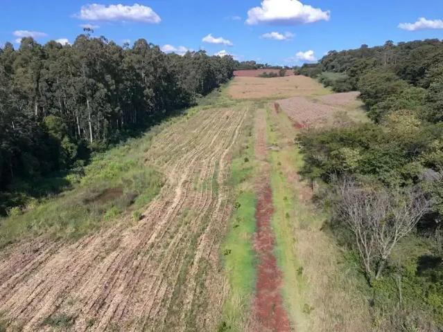 Sítio e chácara venda em Região Geográfica Imediata de Marechal Cândido Rondon, Marechal Cândido Rondon