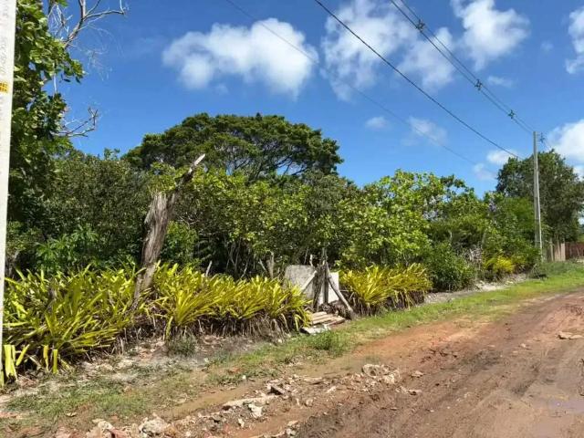 Sítio e chácara venda em Região Geográfica Imediata de Maceió, Marechal deodoro