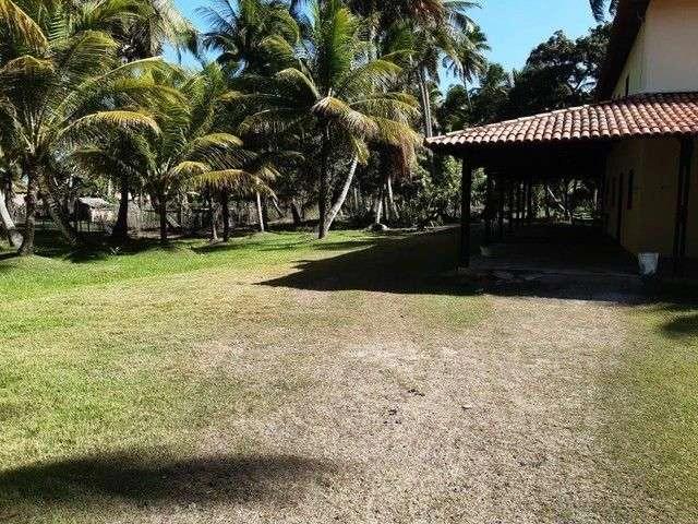 Sítio e chácara venda em Marechal Deodoro