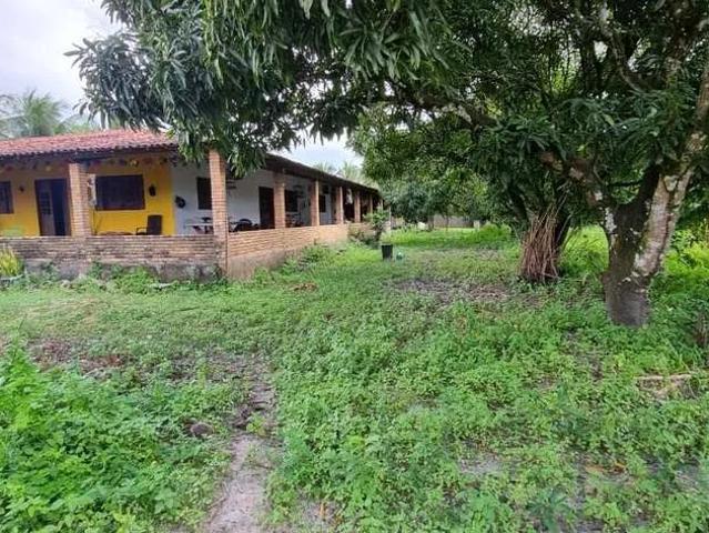 Sítio e chácara venda em Marechal Deodoro