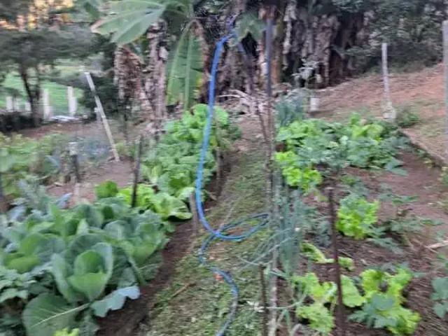 Sítio e chácara venda em Região Geográfica Imediata de Afonso Cláudio - Venda Nova do Imigrante - Santa Maria de Jetibá, Marechal Floriano