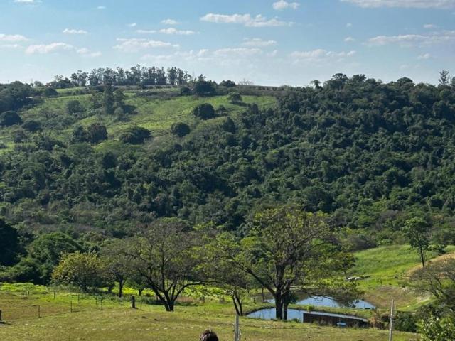 Sítio e chácara venda em Marialva, Região Geográfica Intermediária de Maringá