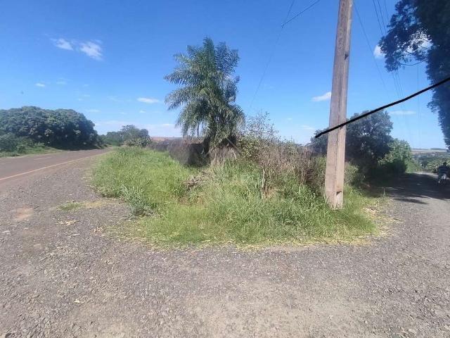 Sítio e chácara venda em Região Geográfica Imediata de Maringá, Marialva