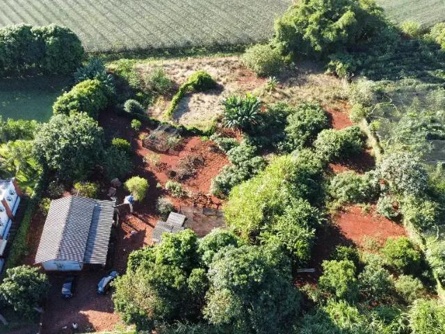 Sítio e chácara venda em Região Geográfica Imediata de Maringá, Marialva