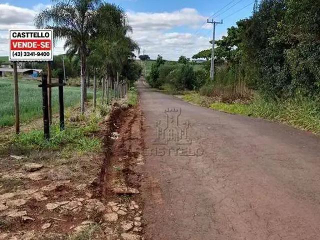 Sítio e chácara venda em Região Geográfica Imediata de Maringá, Marialva