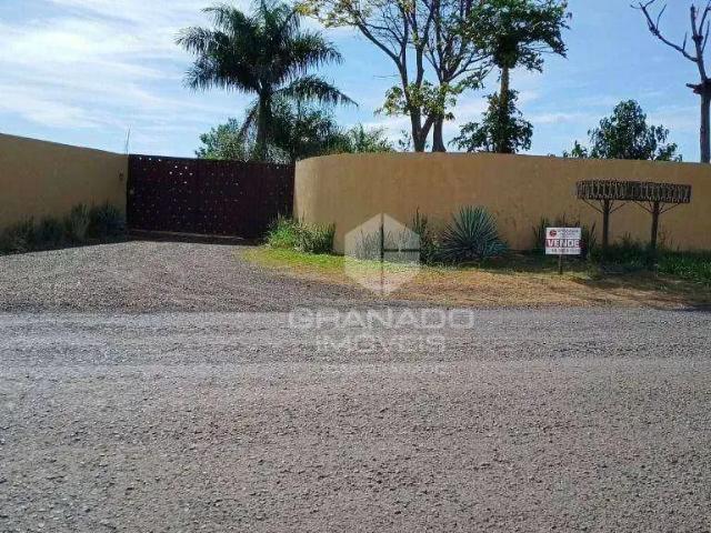 Sítio e chácara venda em Região Geográfica Imediata de Maringá, Marialva