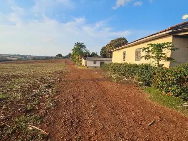 Sítio e chácara venda em Região Geográfica Imediata de Maringá, Marialva