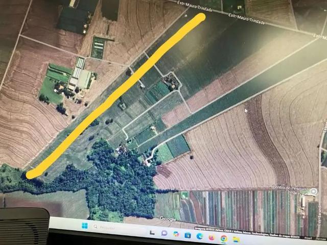 Sítio e chácara venda em Região Geográfica Imediata de Maringá, Marialva